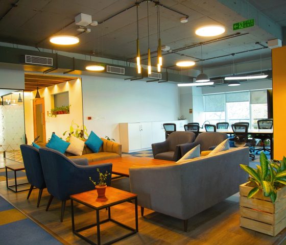 Plug and Play Office Space for rent in Salarpuria Softzone Bellandur