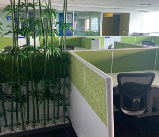 Plug and Play Office Spaces in Bangalore